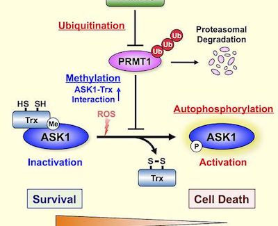 九游会老哥必备的交流社区_俱乐部论坛帖子