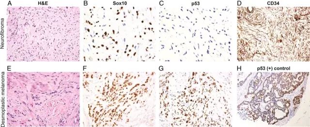 九游会老哥必备的交流社区_俱乐部论坛帖子