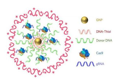 九游会老哥必备的交流社区_俱乐部论坛帖子