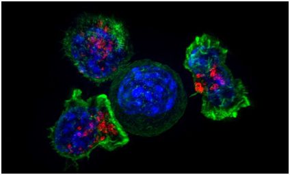 九游会老哥必备的交流社区_俱乐部论坛帖子