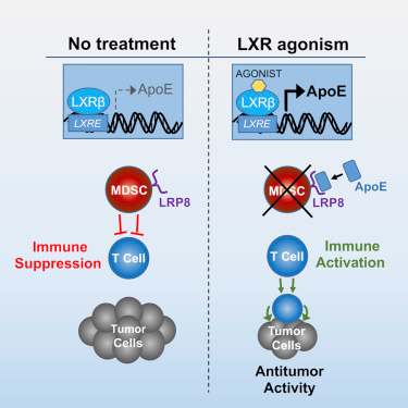 九游会老哥必备的交流社区_俱乐部论坛帖子
