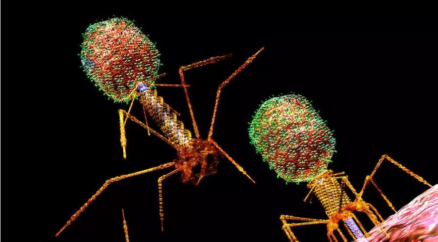 九游会老哥必备的交流社区_俱乐部论坛帖子