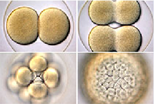 九游会老哥必备的交流社区_俱乐部论坛帖子
