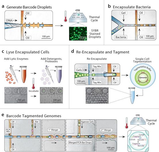 九游会老哥必备的交流社区_俱乐部论坛帖子