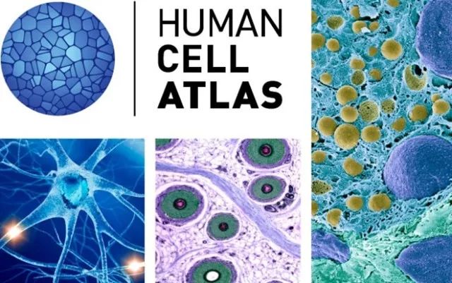 九游会老哥必备的交流社区_俱乐部论坛帖子