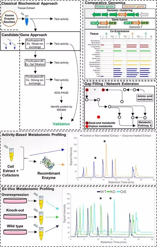九游会老哥必备的交流社区_俱乐部论坛帖子