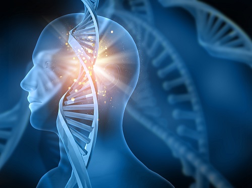 九游会老哥俱乐部助力新药研发又一阶：海和生物与思绪迪医药开启抗肿瘤新药相助