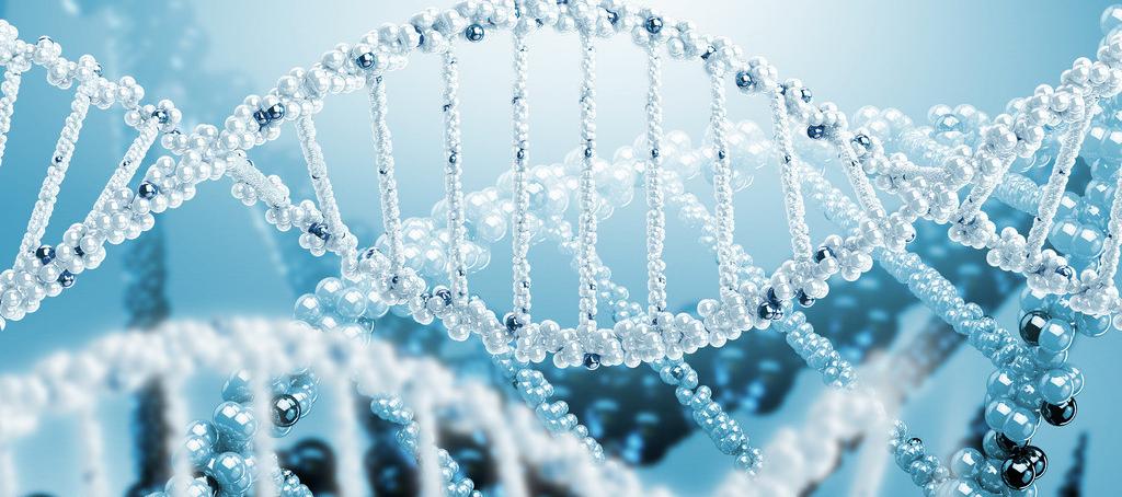 浅谈九游会老哥俱乐部抗体药物PK剖析要领学设计的思量要点