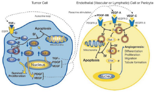 九游会老哥必备的交流社区_俱乐部论坛帖子