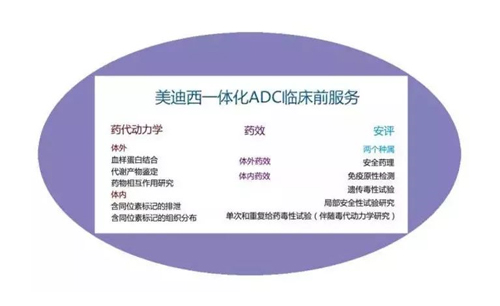 九游会老哥俱乐部一体化ADC临床前效劳