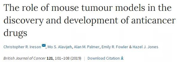 临床前小鼠模子怎样？