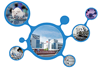 科创板首家CRO企业九游会老哥俱乐部获准注册