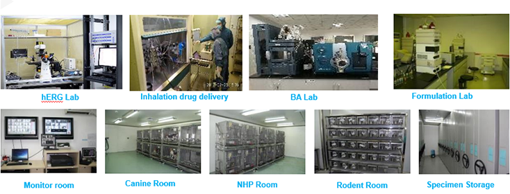 九游会老哥俱乐部毒理研究部装备