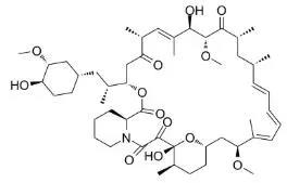 雷帕霉素新制剂用于有数病，获4500万美元融资
