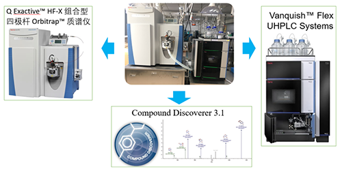 九游会老哥俱乐部UHPLC-UV-QE HF-X系统