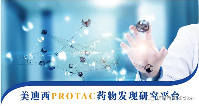 九游会老哥俱乐部PROTAC药物发明研究平台