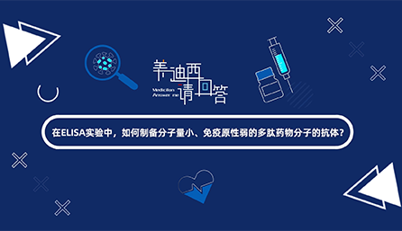 在ELISA实验，怎样制备分子量小、免疫原性弱的多肽药物分子的抗体？