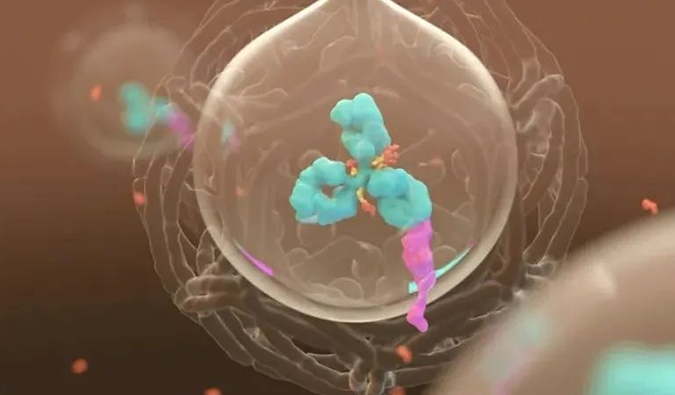 美研 | 九游会老哥俱乐部带您相识ADC玄妙之处