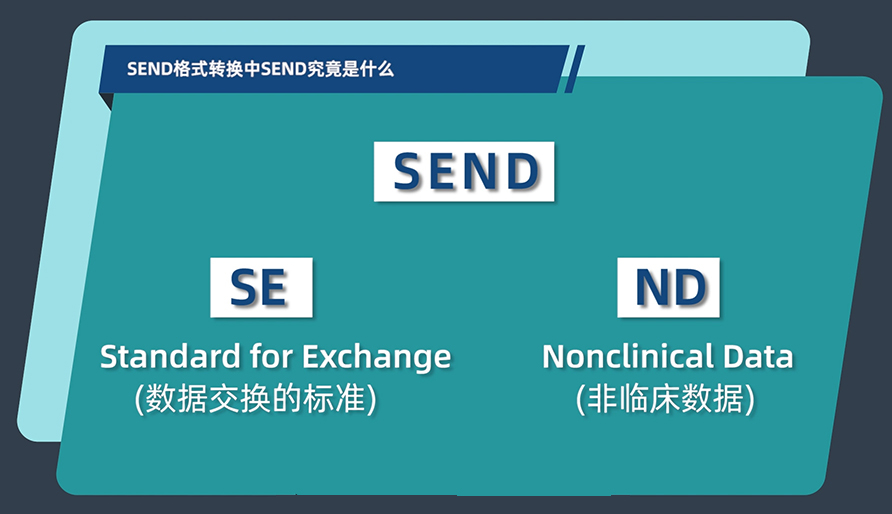 SEND名堂转换中的SEND事实是什么？