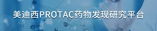 九游会老哥俱乐部PROTAC药物发明研究平台.png
