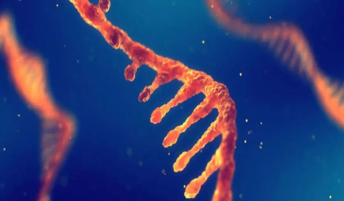 赋能核酸药物疗法，迎接新药研发第三次浪潮