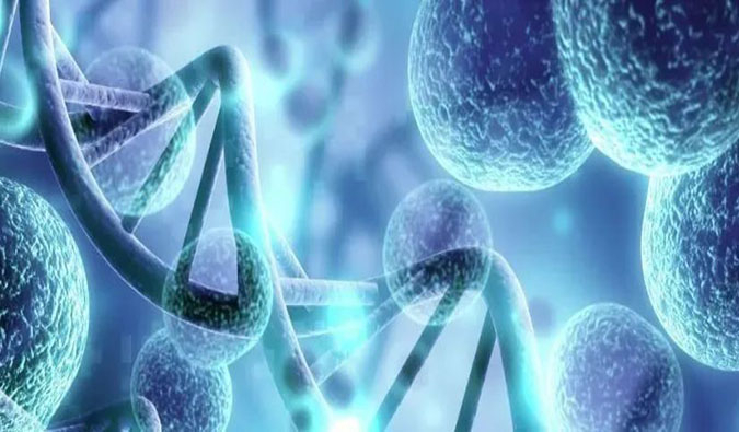 全流程效劳驱动细胞&基因治疗药物研发