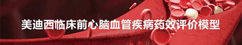 九游会老哥俱乐部临床前心脑血管疾病模子.jpg