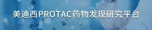 九游会老哥俱乐部protac药物发明研究平台.jpg