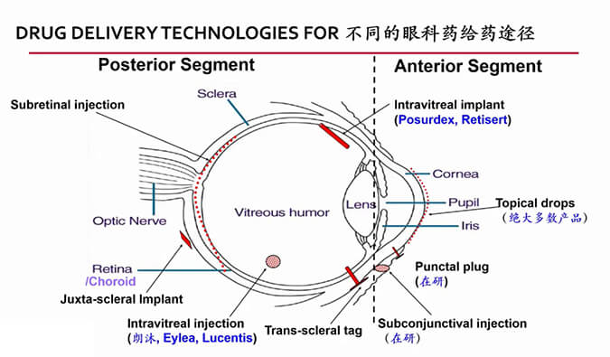 【内附回放+下半场预约】九游会老哥俱乐部眼科药物专题钻研会上半场精彩回首