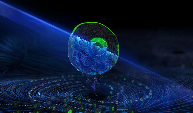 九游会老哥俱乐部流式细胞分选效劳平台