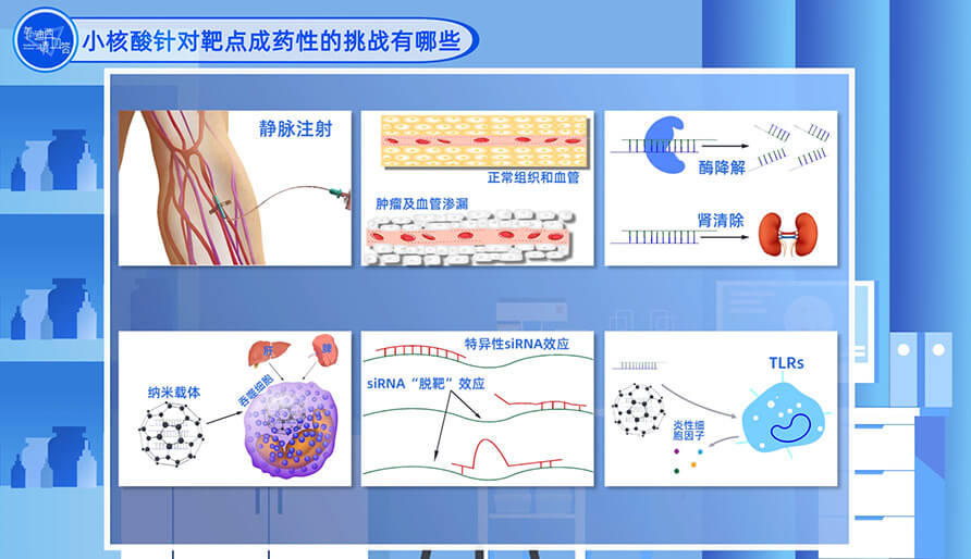 小核酸针对靶点成药性的挑战有哪些？