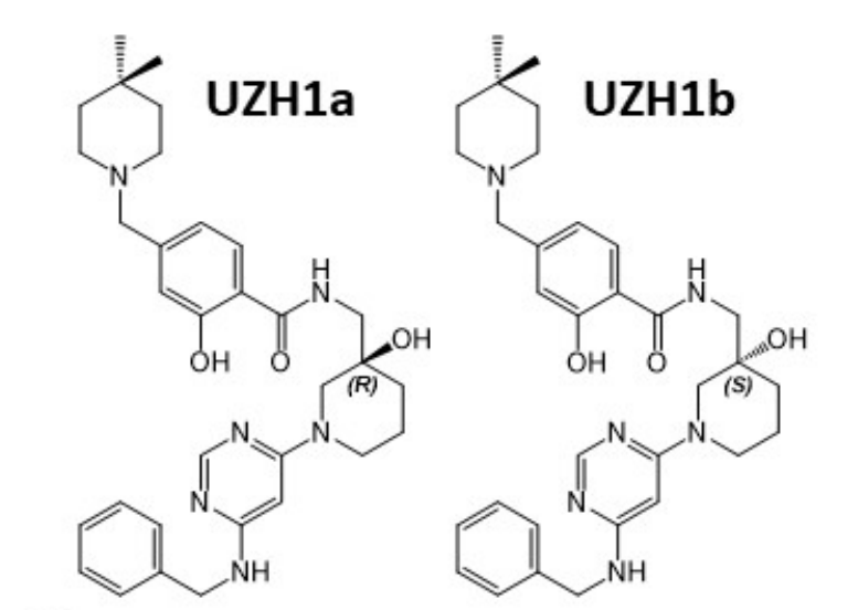 研究职员报告了一种具有细胞渗透性的选择性METTL3纳摩尔抑制剂UZH1a，作者谢谢九游会老哥俱乐部合成了UZH1a和UZH1b