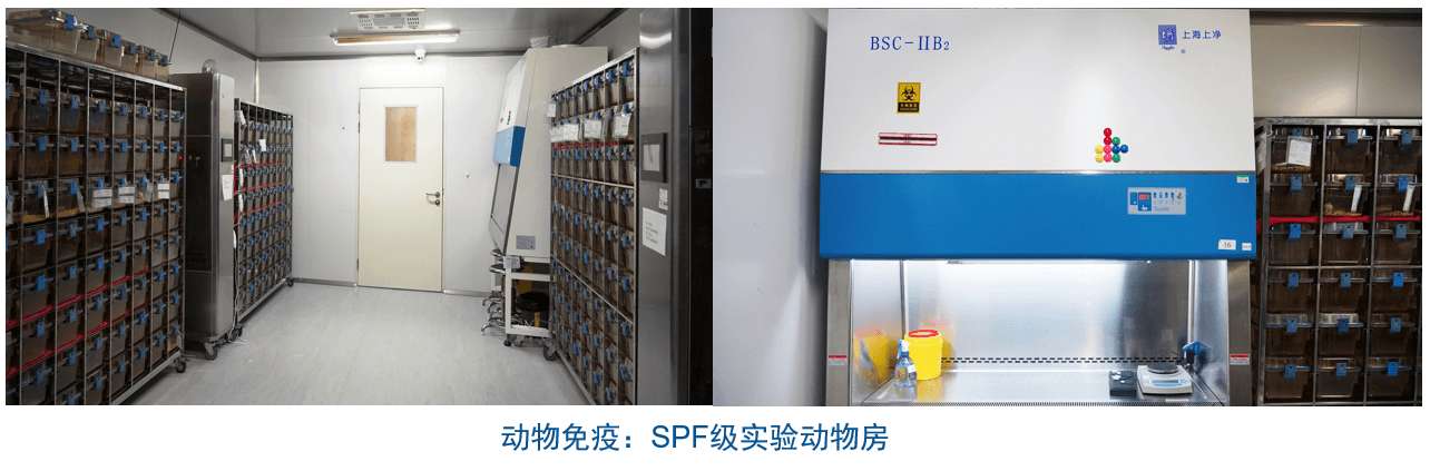 九游会老哥俱乐部杂交瘤手艺平台装备-动物免疫SPF级实验动物房