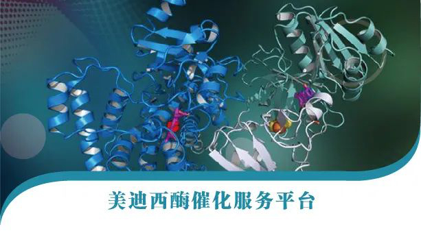 九游会老哥俱乐部酶催化效劳平台.jpg