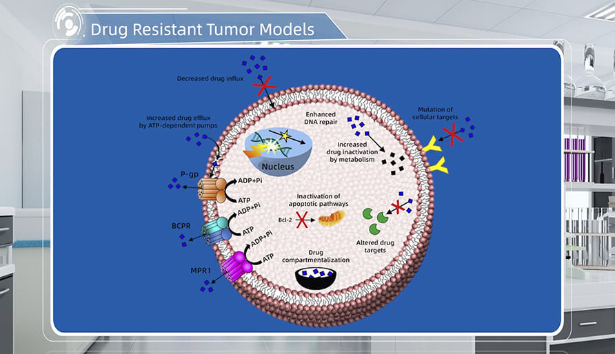 肿瘤耐药机制是什么？