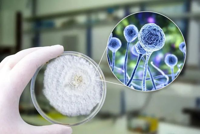 九游会老哥俱乐部助力 | 祥根生物首款立异药SG1001口服片剂中国IND获批