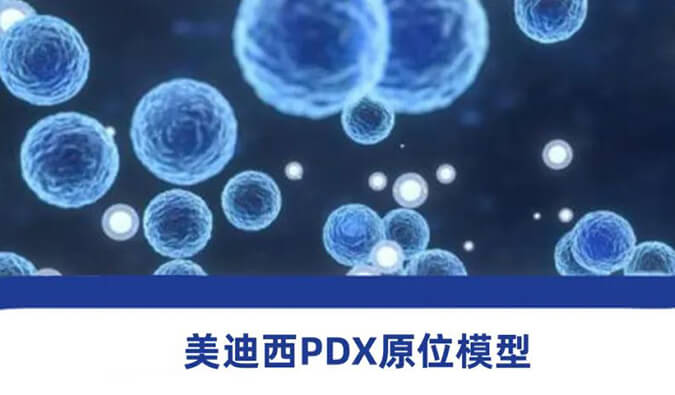 九游会老哥俱乐部118种PDX原位模子，助力肿瘤药物研发