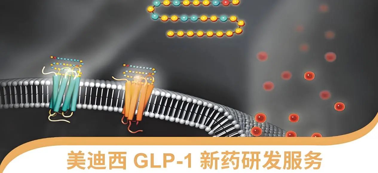 70.5%的成人正在悄悄长胖！国家卫健委“减肥令”下，GLP-1药物怎样突围？