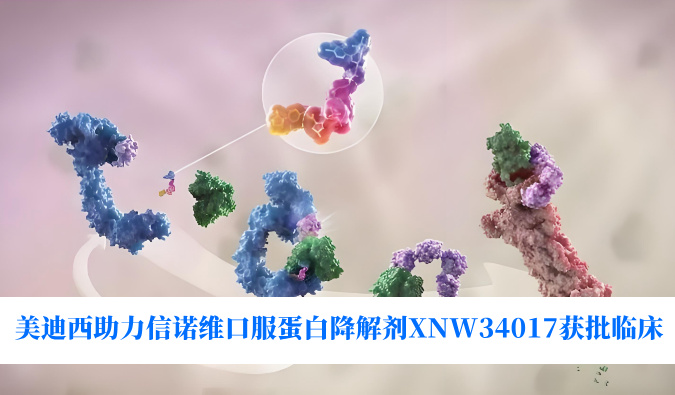 九游会老哥俱乐部助力相助同伴信诺维口服卵白降解剂XNW34017获批临床